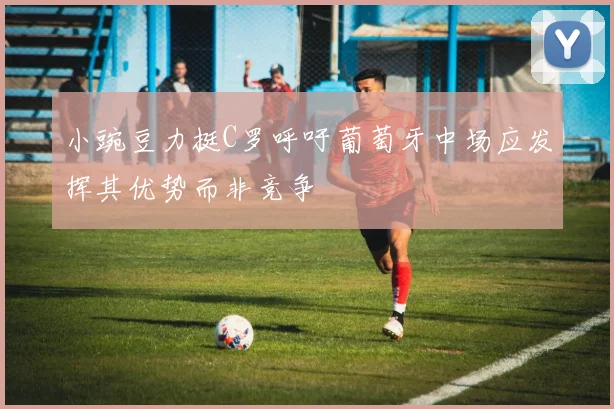 小豌豆力挺C罗呼吁葡萄牙中场应发挥其优势而非竞争